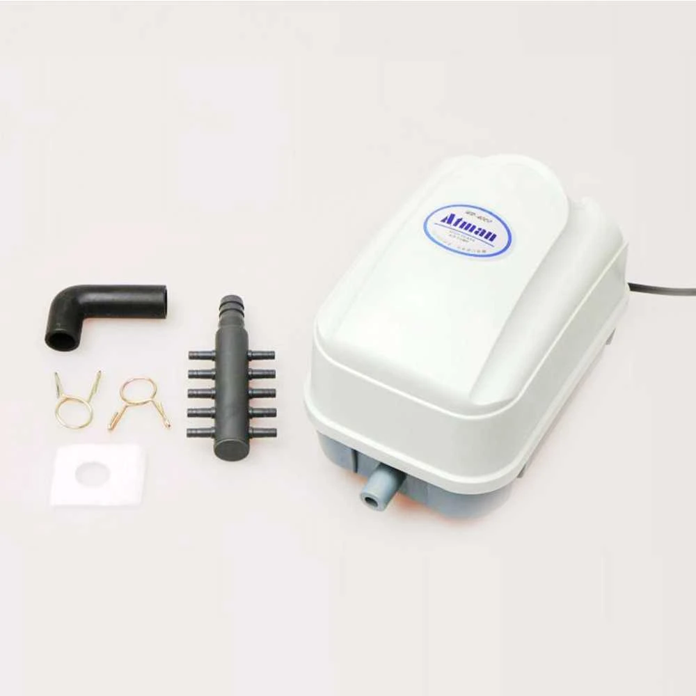 Orapūtė tvenkiniui RS-15000