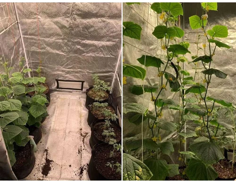 Palapinė Augalams "Grow tent"