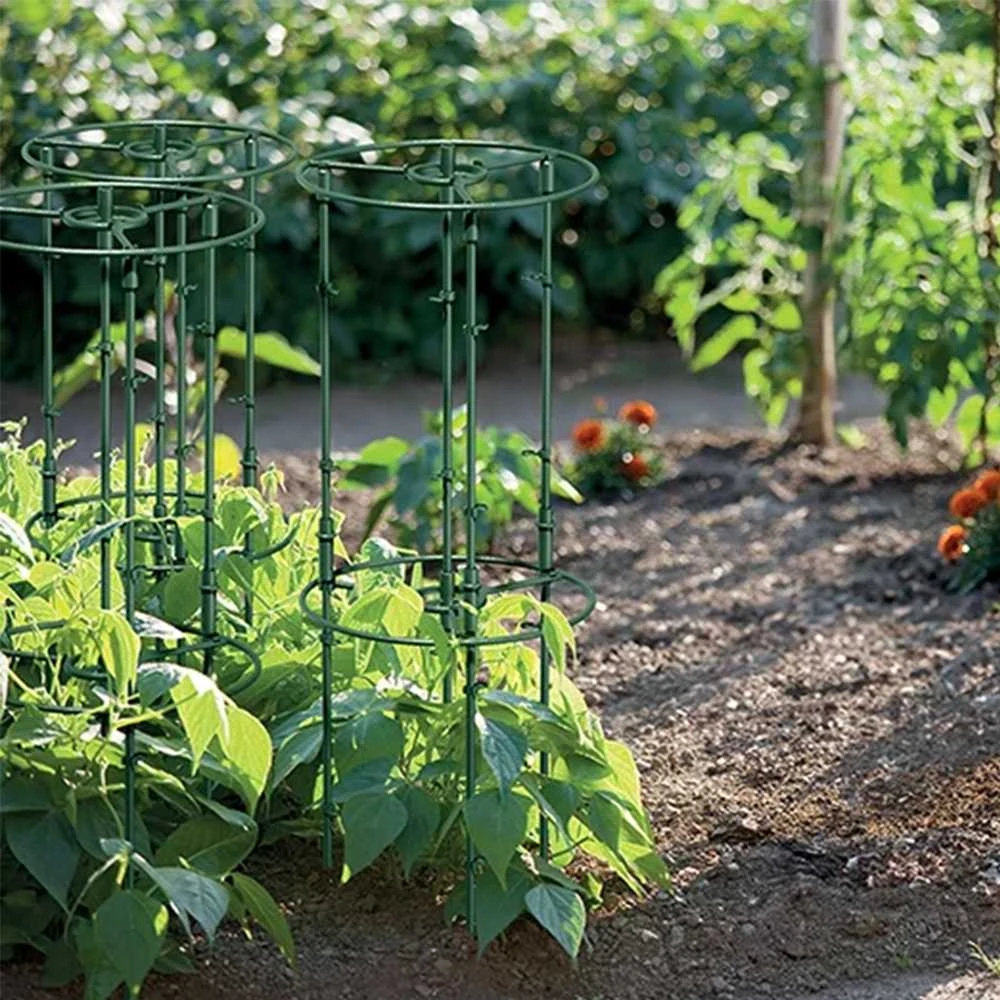 Prosperplast Augalų atramos 25 ir 35 cm miško žalia