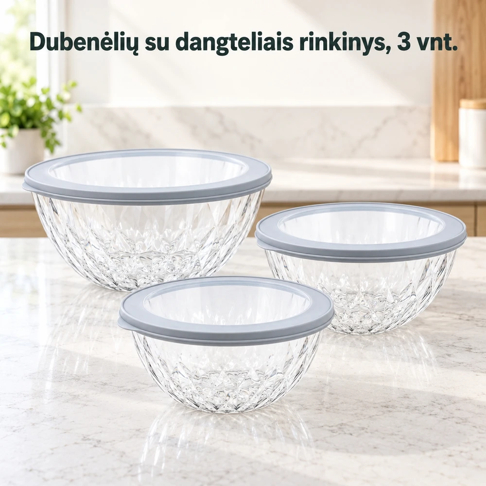 Plastikinių maisto laikymo indelių rinkinys su dangteliais 3 vnt.