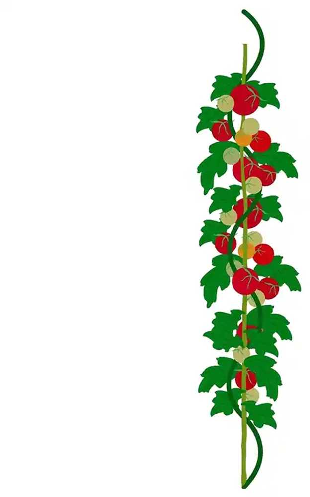 FLORALAND Spiralinis augalo kuoliukas150cm.