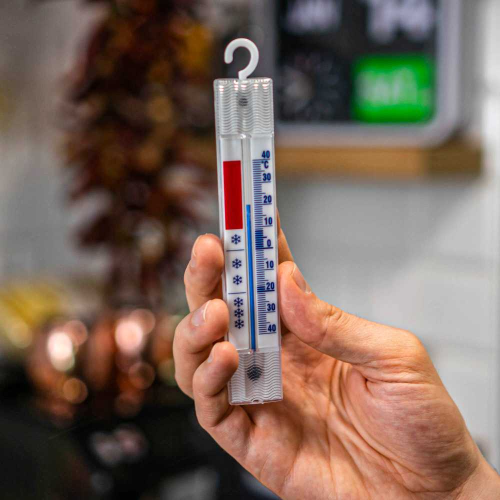 Bioterm Termometras šaldytuvams ir šaldikliams (-40°C iki +40°C)