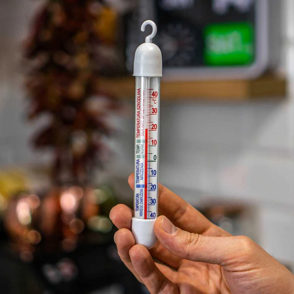 Termometras šaldytuvams ir šaldikliams (-50°C iki +40°C)