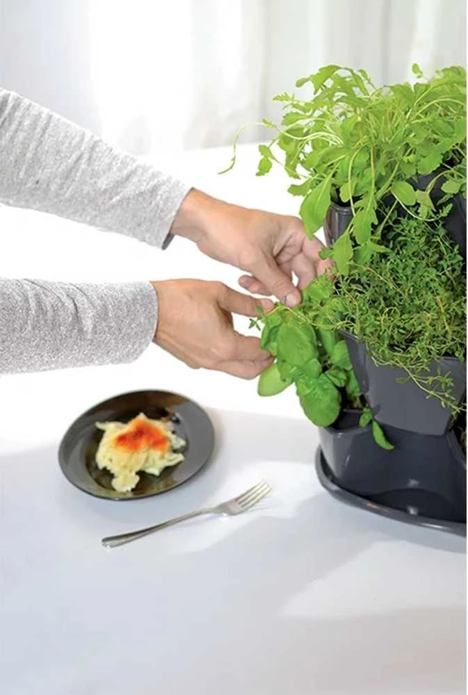 Prosperplast Trigubas puodas žolelėms Coubi Herbal antracitas