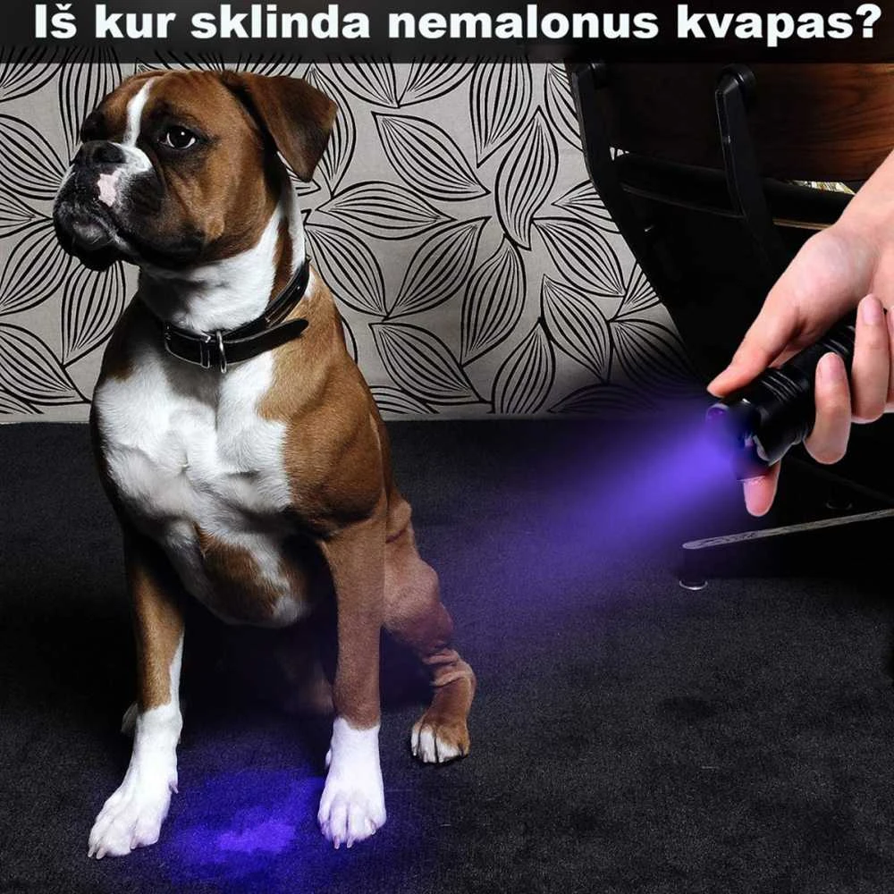 UV Spindulių Prožektorius
