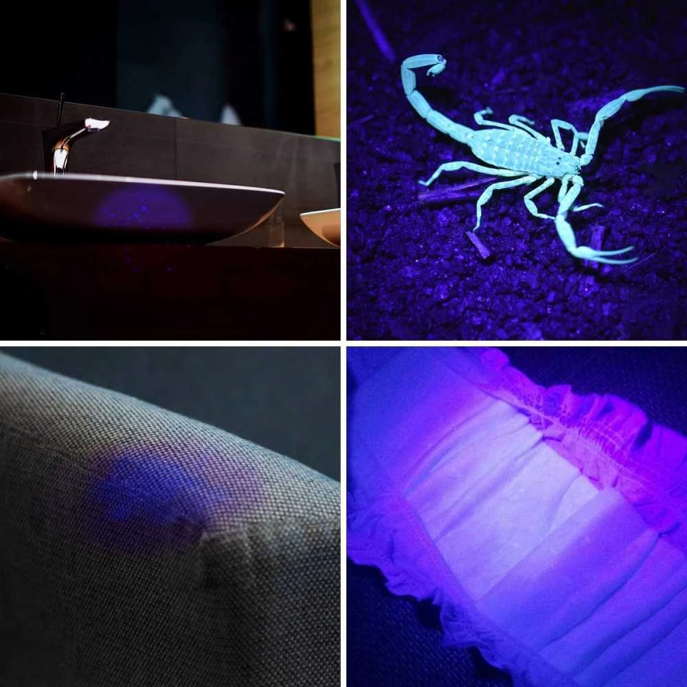 UV Spindulių Prožektorius