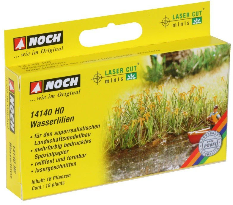 Noch Vandens lelijos