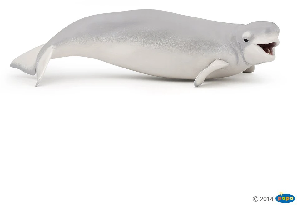 Papo figūrėlė Baltasis delfinas