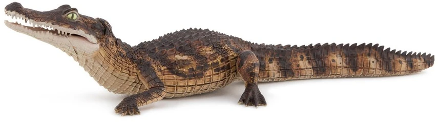 Papo Kaimano figūrėlė