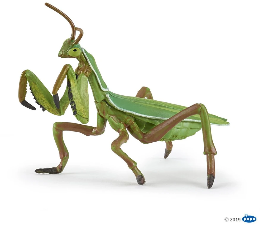 Papo figūrėlė Maldininkas (Mantis)