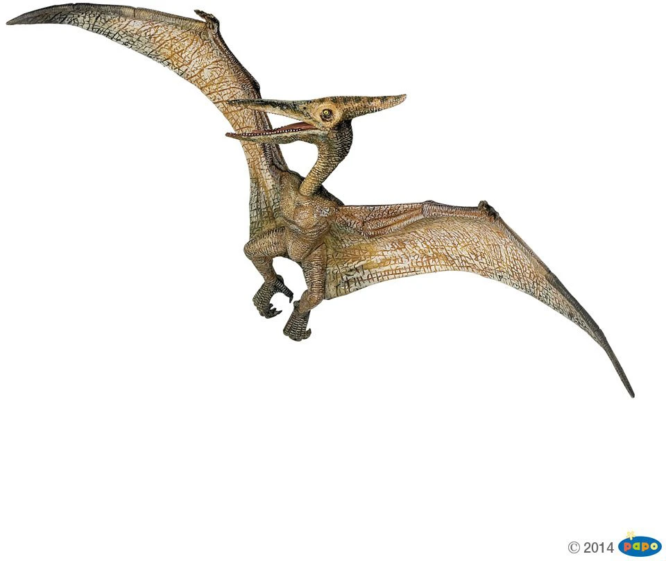 Kolekcionieriaus figūrėlės pteranodonas, papo