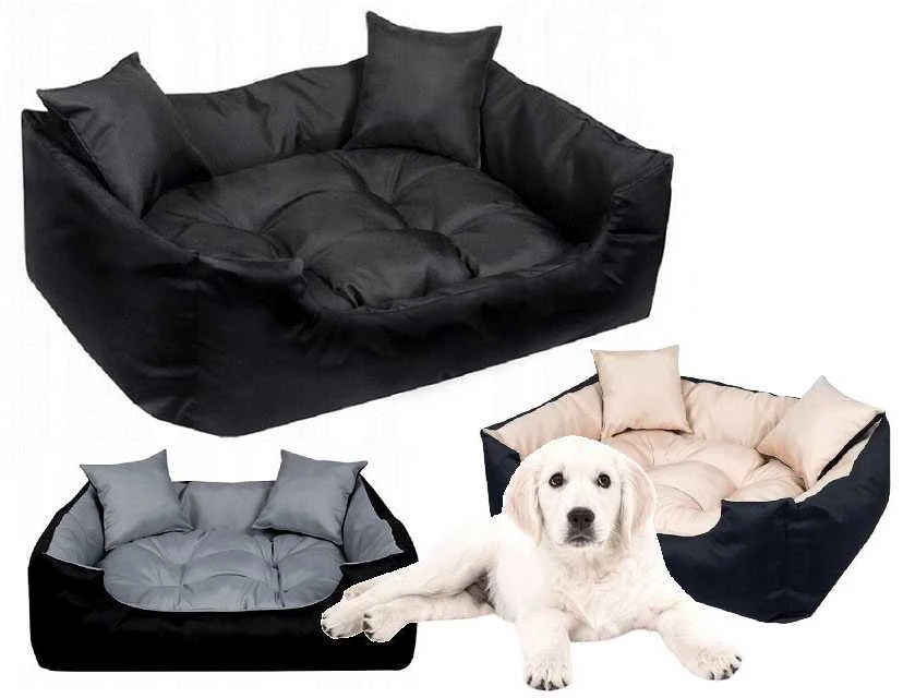 Aio Factory AIO Europe ECCO šuns stovas 80x60 / 100x75 cm juoda