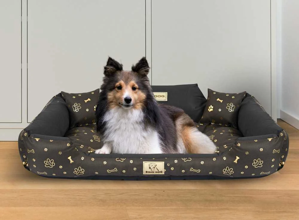 Aio Factory Šuns guolis KINGDOG 100x75 cm, personalizuotas, vandeniui atsparus, auksiniai kaulai