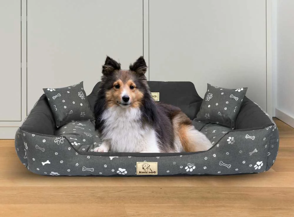 Aio Factory Šuns guolis KINGDOG 100x75 cm, personalizuotas, vandeniui atsparus, sidabriniai kaulai
