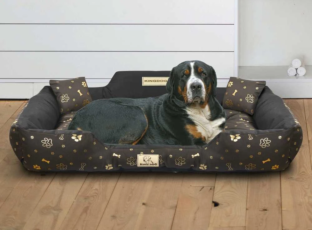 Aio Factory Šuns guolis KINGDOG 115x95 cm, personalizuotas, vandeniui atsparus, auksiniai kaulai