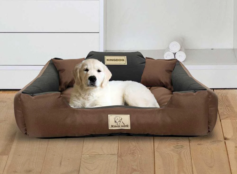 Aio Factory Šuns guolis KINGDOG 115x95 cm, personalizuotas, atsparus vandeniui, rudas