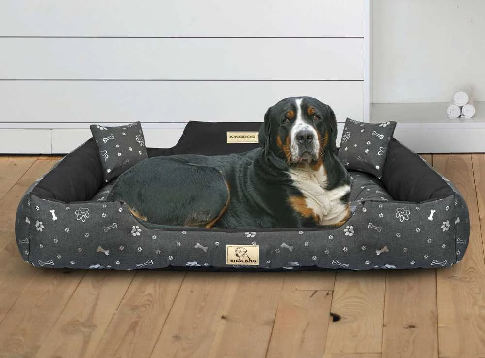 Aio Factory Šuns guolis KINGDOG 115x95 cm, personalizuotas, vandeniui atsparus, sidabriniai kaulai