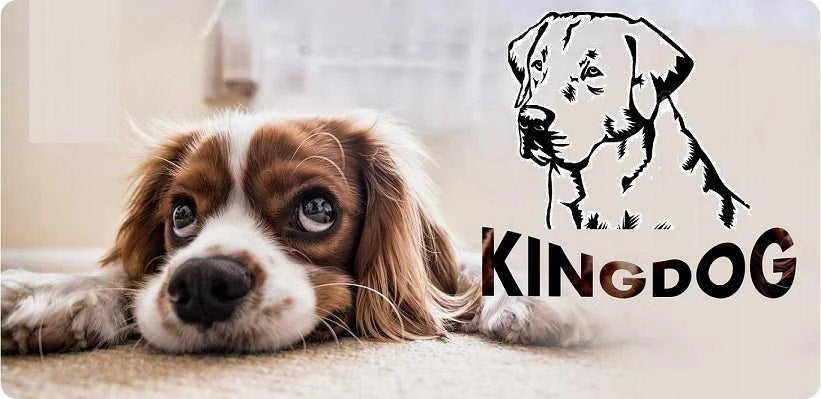 Aio Factory Šuns guolis KINGDOG 130x105 cm, personalizuotas, atsparus vandeniui, tamsiai pilkas