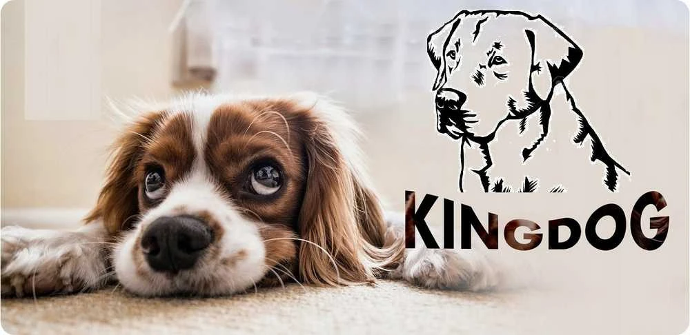 Aio Factory Šuns guolis KINGDOG 130x105 cm, personalizuotas, atsparus vandeniui, juodas