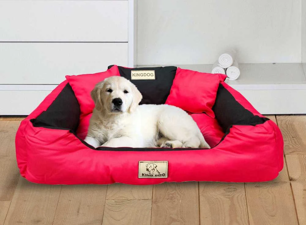 Aio Factory Šuns guolis KINGDOG 145x115 cm, personalizuotas, atsparus vandeniui, raudonas