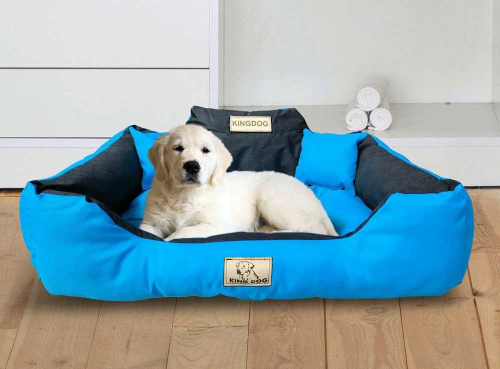 Aio Factory Šuns guolis KINGDOG 145x115 cm, personalizuotas, atsparus vandeniui, mėlynas