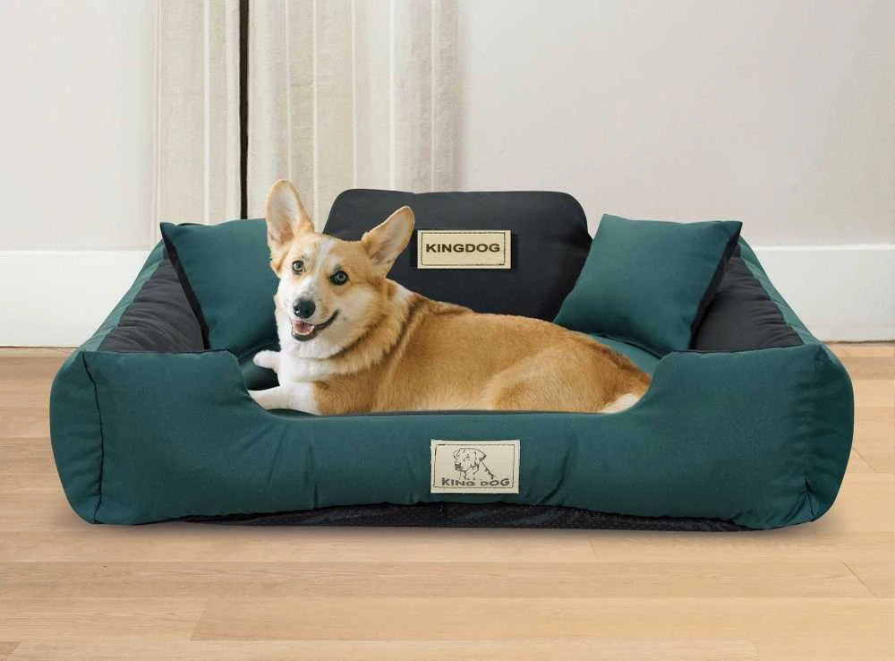 Aio Factory Šuns guolis KINGDOG MM43 100x75 cm, personalizuotas, nuimamas, neslystantis, žalias