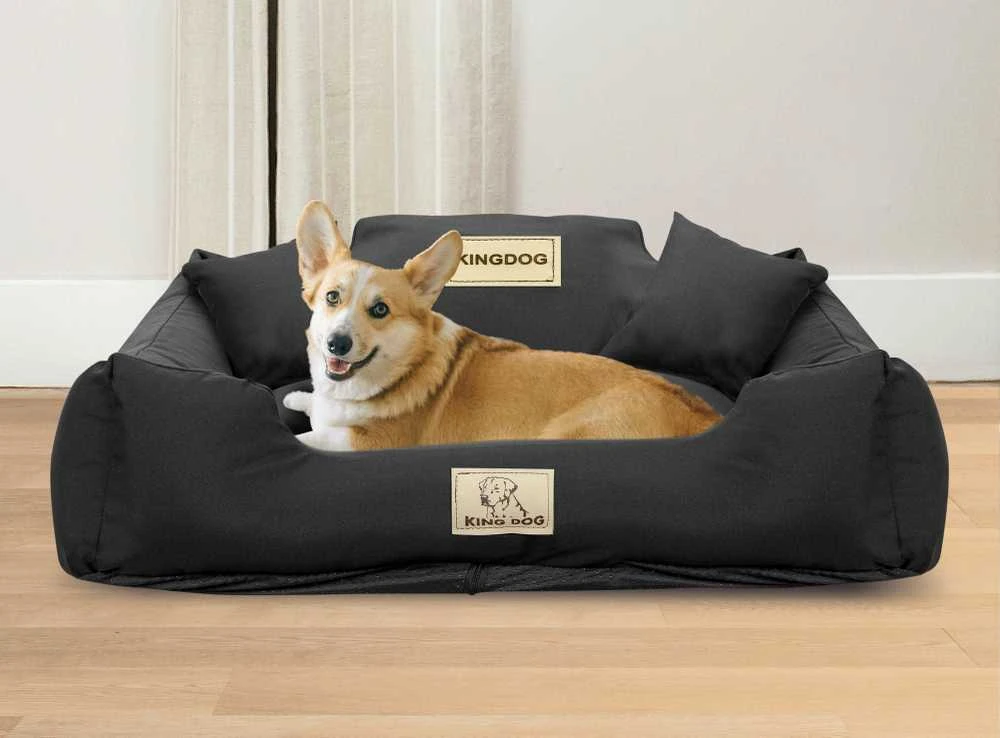 Aio Factory Šuns guolis KINGDOG MM43 115x95 cm, nuimamas, personalizuotas, neslystantis, juodas