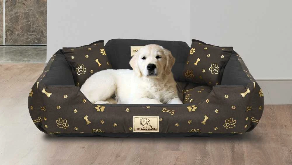 Aio Factory Šuns guolis KINGDOG voljeras 75x65 cm personalizuotas vandeniui atsparus auksinis kaulas