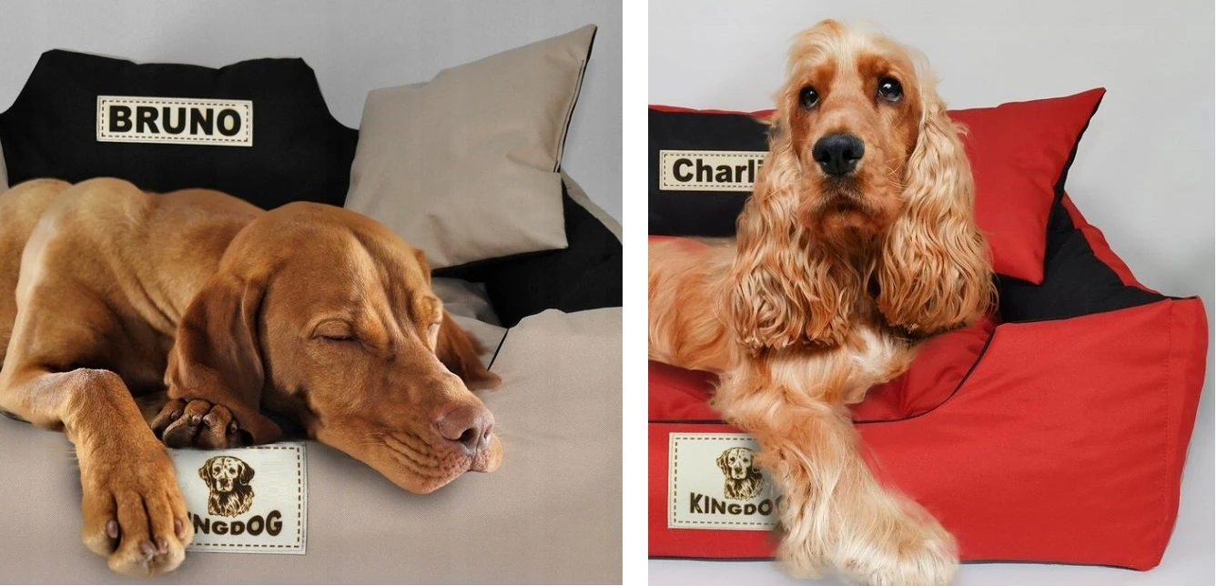 Aio Factory Šuns guolis KINGDOG voljeras 75x65 cm, personalizuotas, atsparus vandeniui, rudas aprašymas - Prekės nuotrauka