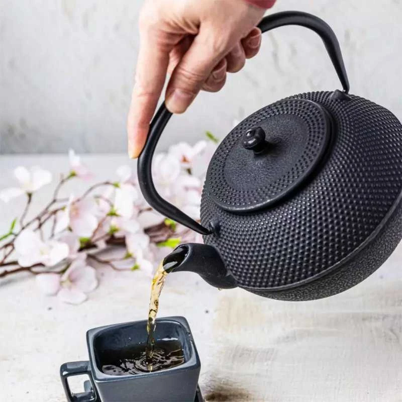 King Hoff Kinghoff KH-3332 ketaus infuzorius su nerūdijančio plieno filtru