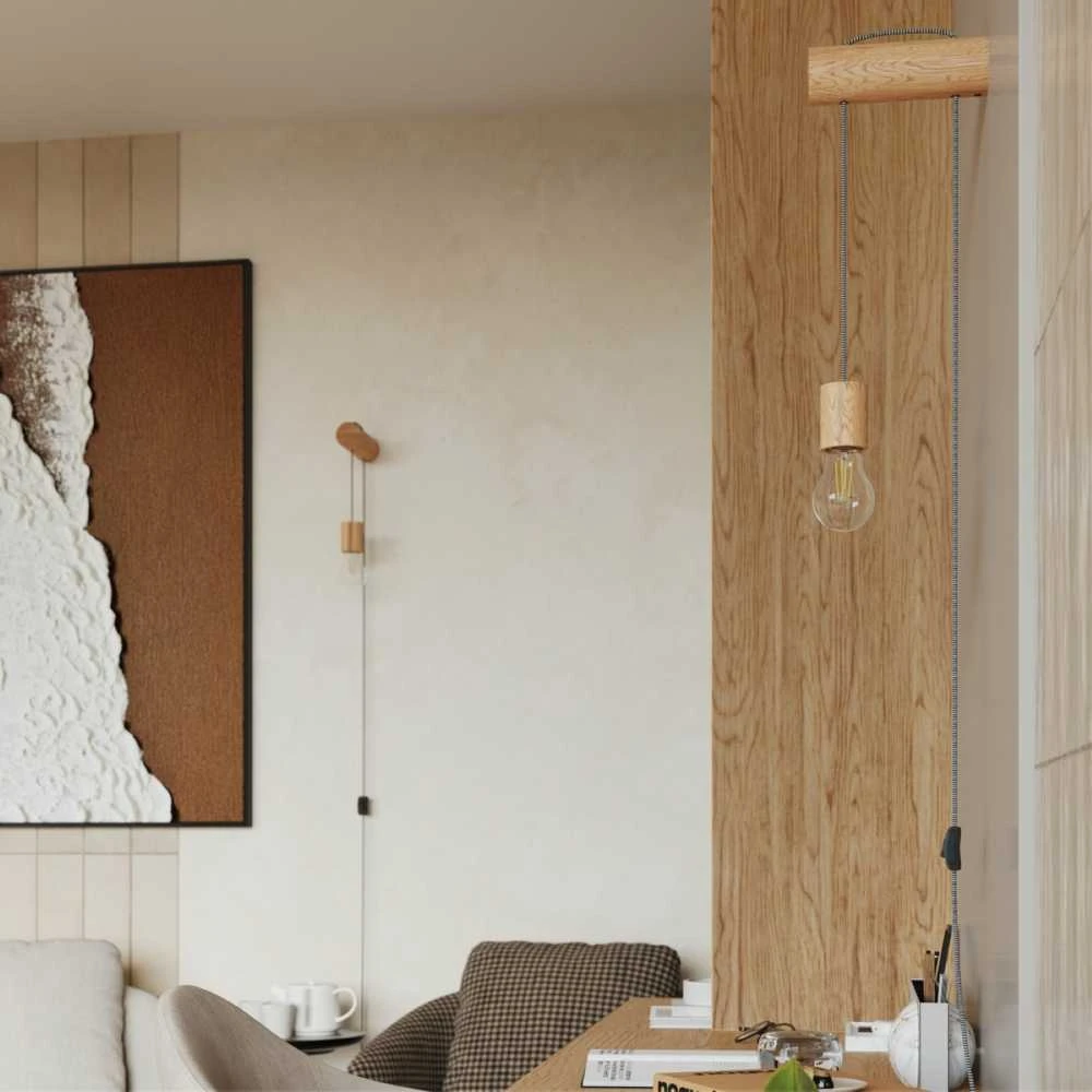Sollux Lighting Sieninis šviestuvas NIMBI E27 su jungikliu