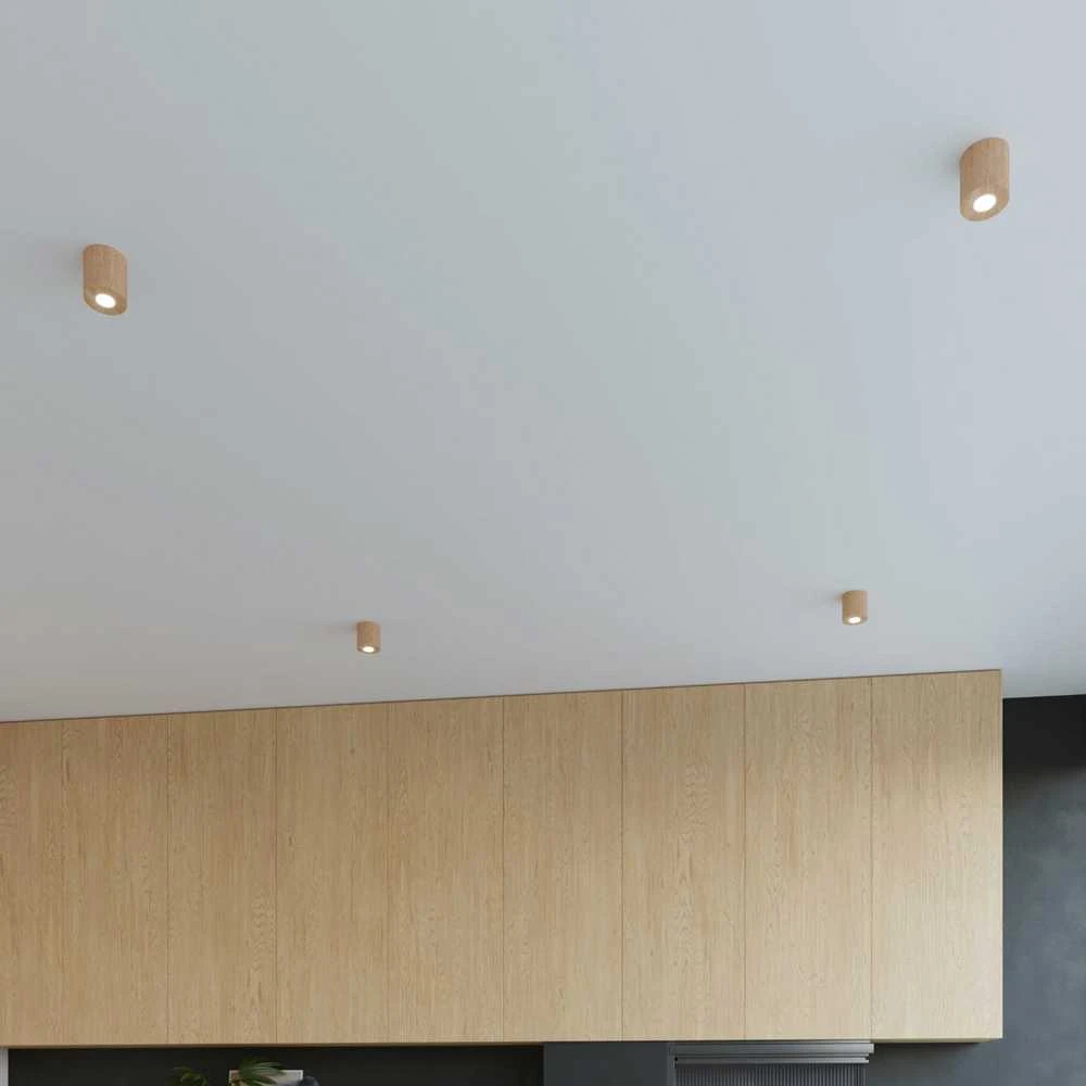 Lubinis šviestuvas Sollux Lighting „Sollux“ lubos ORBIS