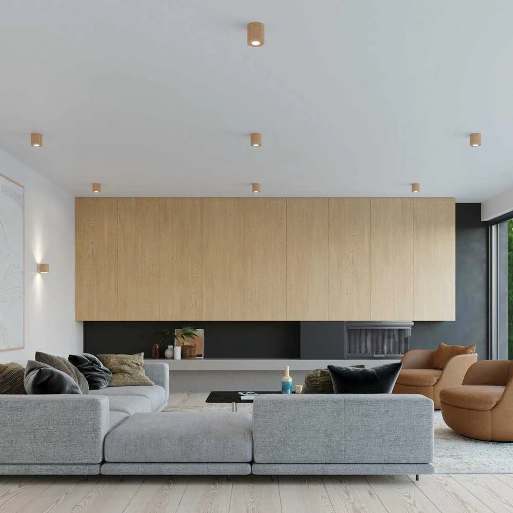 Lubinis šviestuvas Sollux Lighting „Sollux“ lubos ORBIS
