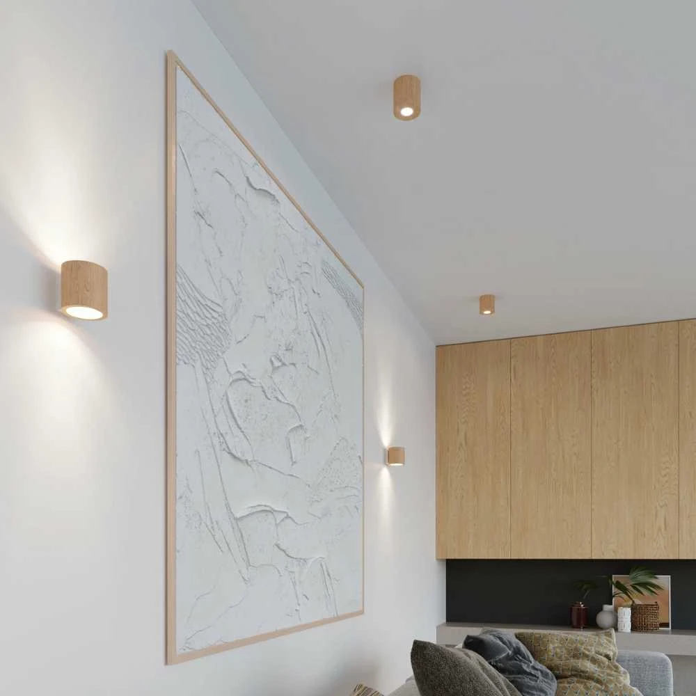 Lubinis šviestuvas Sollux Lighting „Sollux“ lubos ORBIS