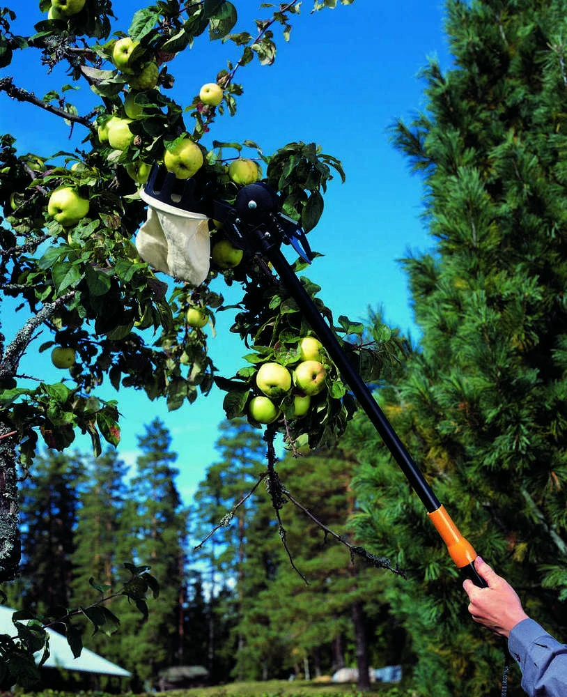 Fiskars Vaisių skintuvas UP80