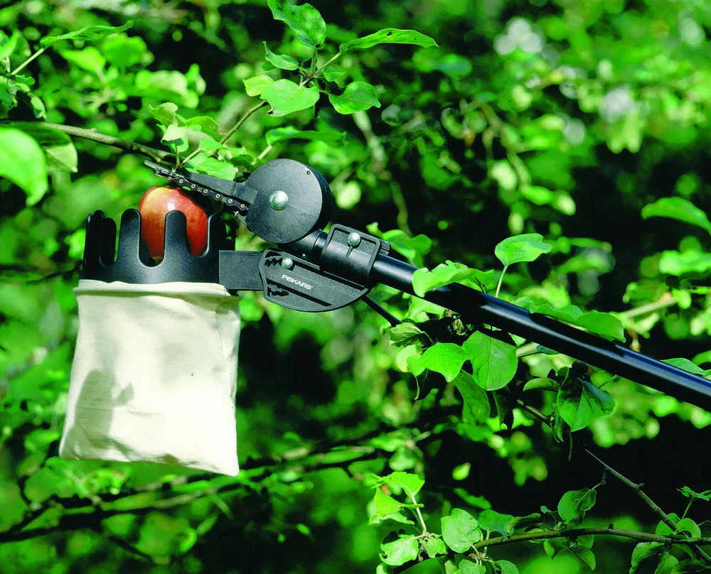 Fiskars Vaisių skintuvas UP80