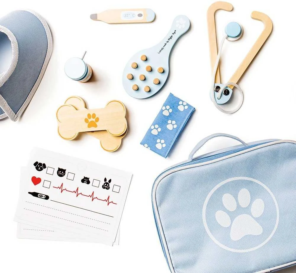 Big Jigs Bigjigs medinis veterinaro rinkinys (12 el.)