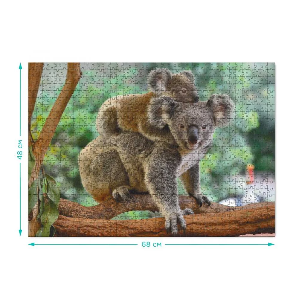Dodo Dėlionė 1000 vnt. - Koalos