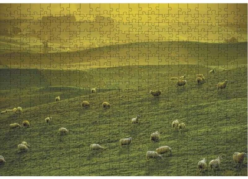 Dodo dėlionė Naujoji Zelandija (500 det.)