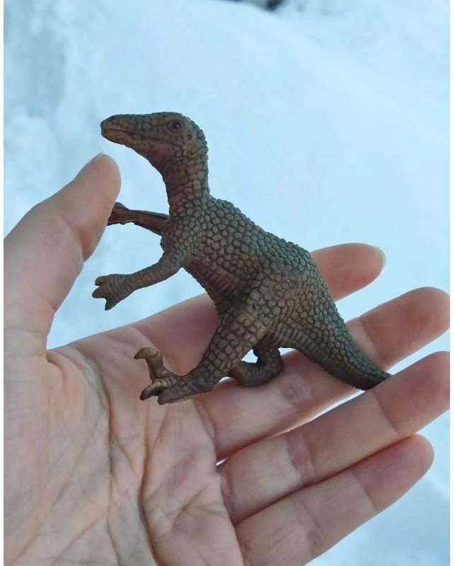 Miniland dinozaurai (12 el.)