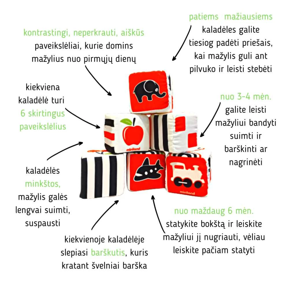 Miniland minkštos kaladėlės (6 vnt.)
