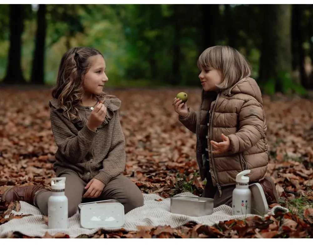 Vanilla Copenhagen Metalinė pietų dėžutė Gulbės
