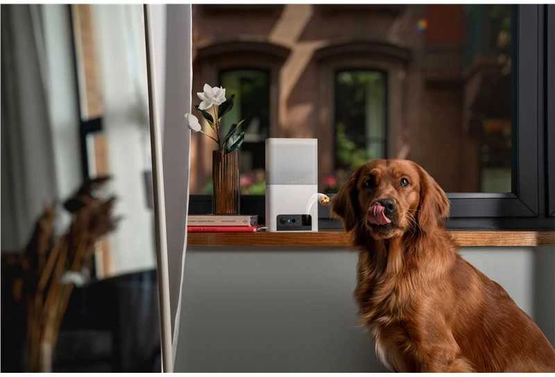 Petcube Bites 2 Lite