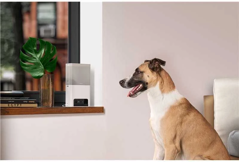 Petcube Bites 2 Lite