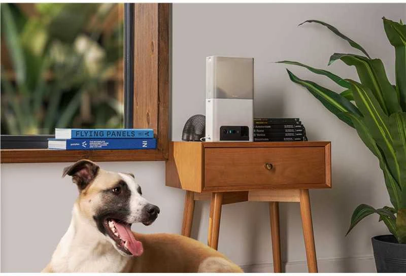 Petcube Bites 2 Lite