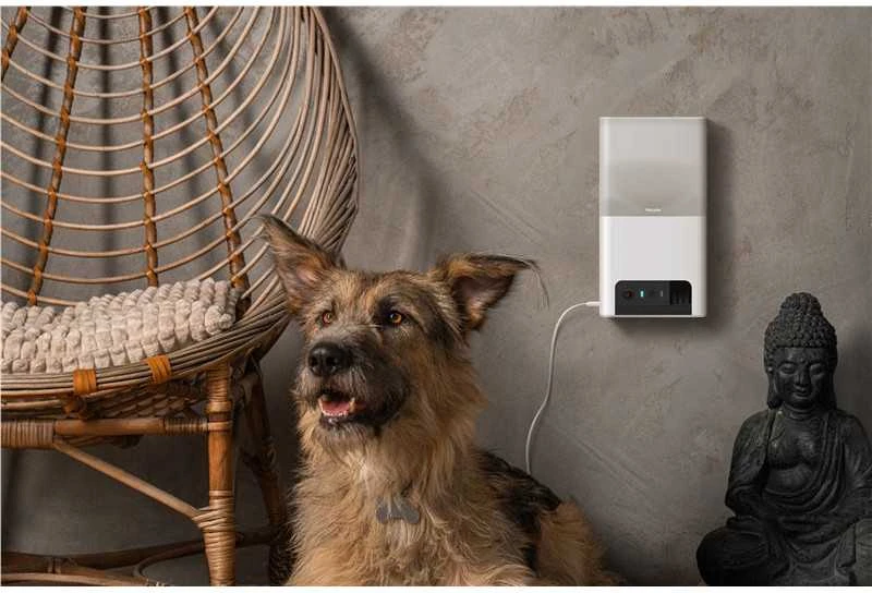 Petcube Bites 2 Lite