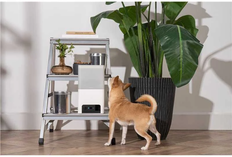 Petcube Bites 2 Lite
