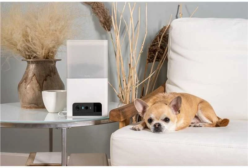 Petcube Bites 2 Lite