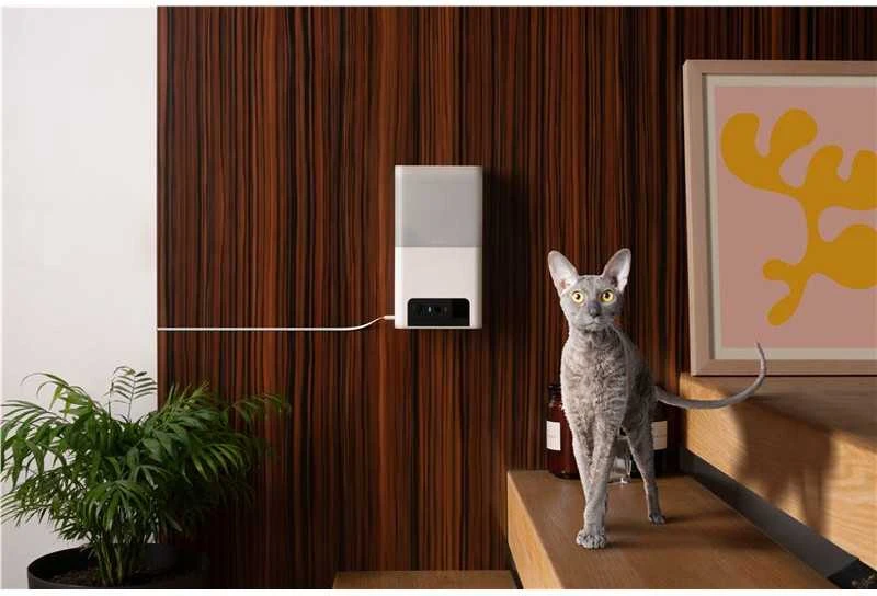 Petcube Bites 2 Lite