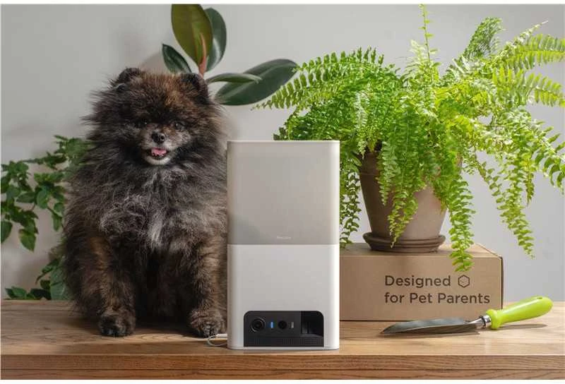 Petcube Bites 2 Lite